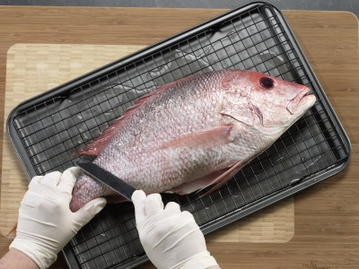 Ảnh minh hoạ: Internet