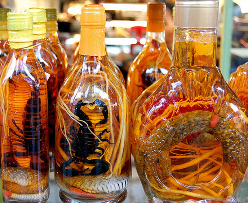 Ảnh minh hoạ: Internet