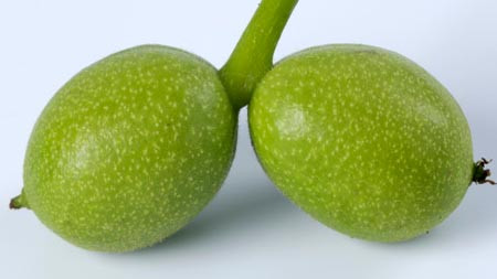 Ảnh minh hoạ: Internet