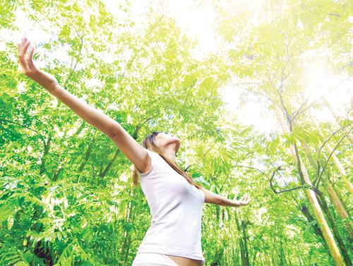 Ảnh minh hoạ: Internet