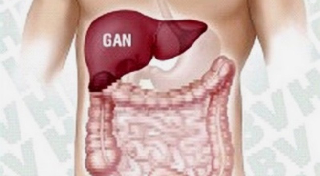 Ảnh minh họa: Internet