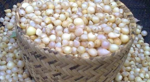 Ảnh minh hoạ: Internet