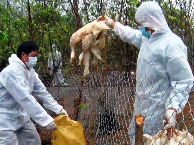 Ảnh minh họa: Internet