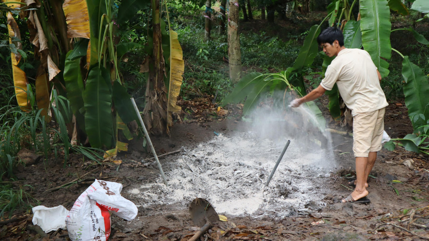 Bình Phước xuất hiện ổ dịch tả heo Châu Phi