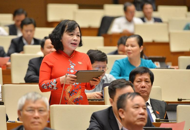 Đại biểu Nguyễn Thị Mai Hoa (Đồng Tháp)