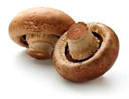 Ảnh minh họa: Internet