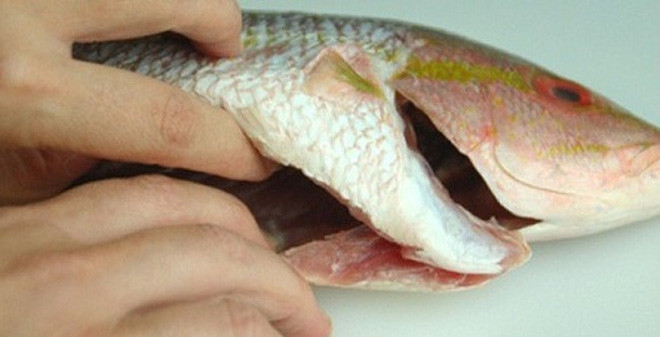 Ảnh minh hoạ: Internet