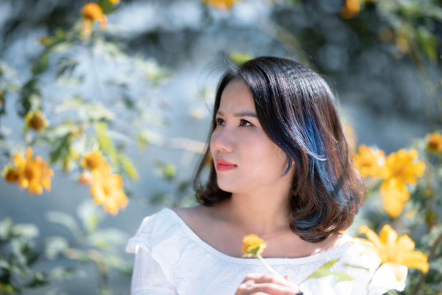 Rực rỡ thung lũng hoa dã quỳ ở xứ Lạng 