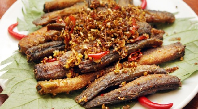 Ảnh minh họa: Internet