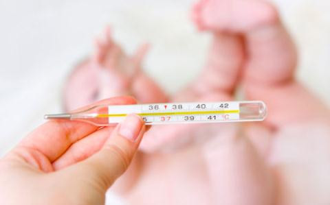 Ảnh minh họa: Internet