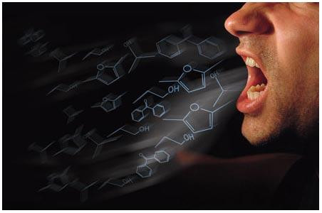 Ảnh minh hoạ: Internet