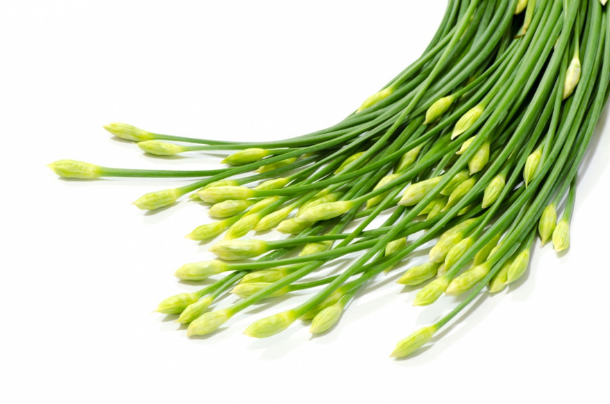 Ảnh minh hoạ: Internet