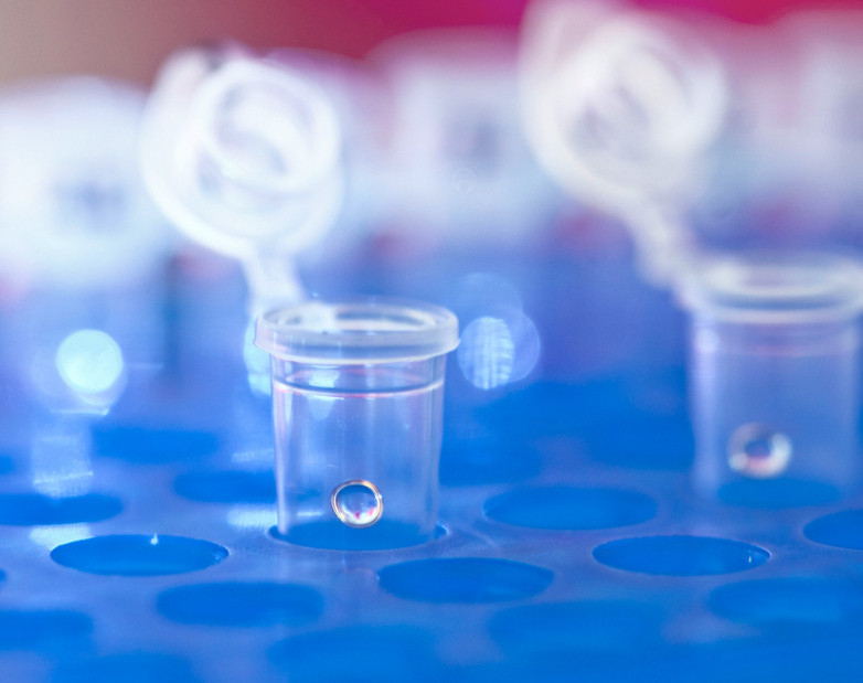 18 nhà khoa học từ khắp nơi trên thế giới đã kêu gọi một lệnh cấm toàn cầu trên tất cả các hình thức chỉnh sửa phôi người lâm sàng.