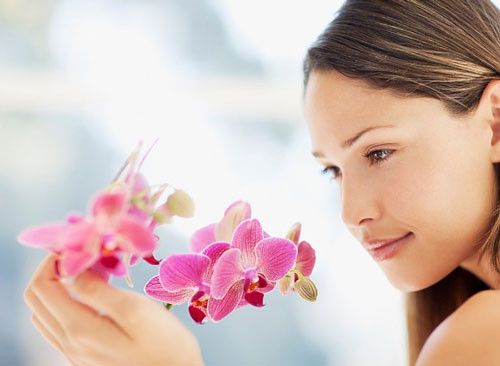 Ảnh minh hoạ: Internet