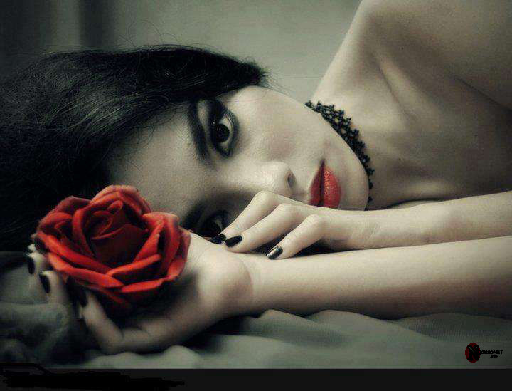 Ảnh minh hoạ: Internet