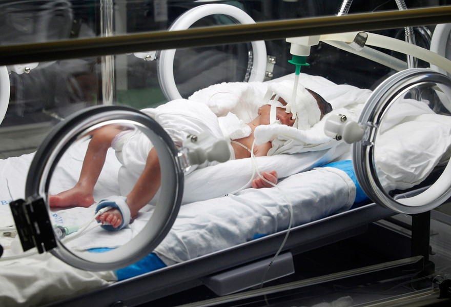 Ảnh minh hoạ: Internet