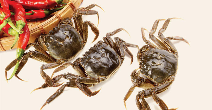 Ảnh minh họa: Internet