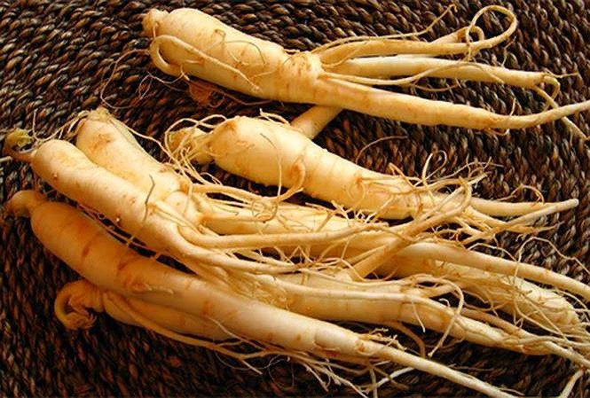 Ảnh minh họa: Internet