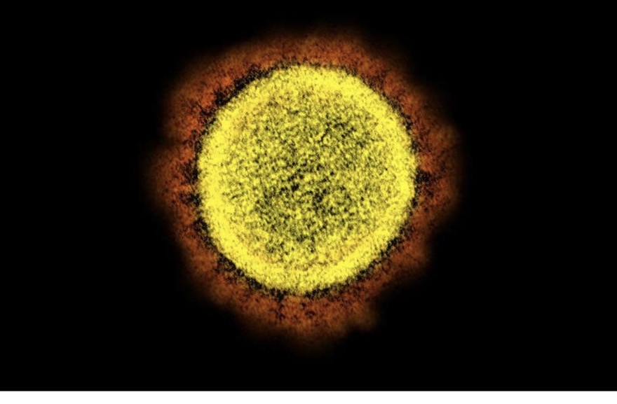 Virus SARS-CoV-2 có thể trốn tránh được các loại thuốc điều trị COVID-19 hiện nay.