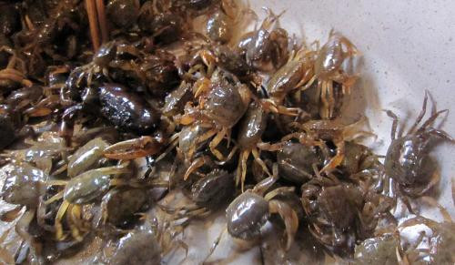 Ảnh minh họa: Internet