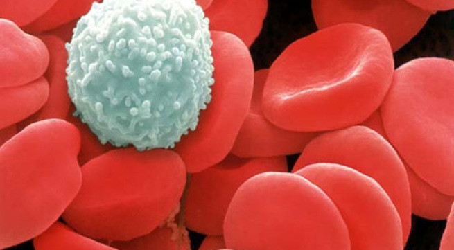 Ảnh minh họa: Internet