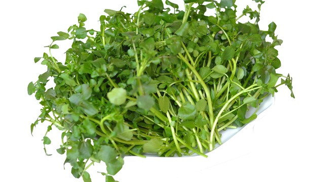 Ảnh minh họa: Internet