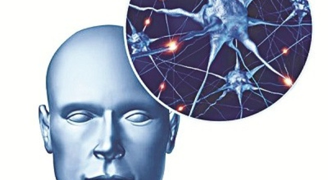 Ảnh minh họa: Internet