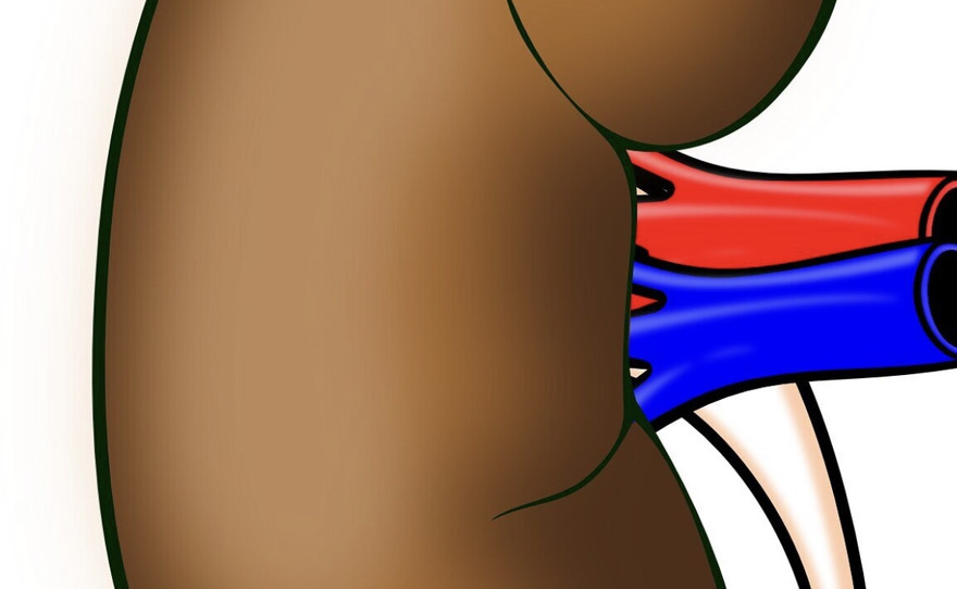 Các dấu hiệu sinh học ban đầu khi nhập viện sẽ giúp các nhà khoa học xác định được liệu đứa trẻ có bị tổn thương thận hay không