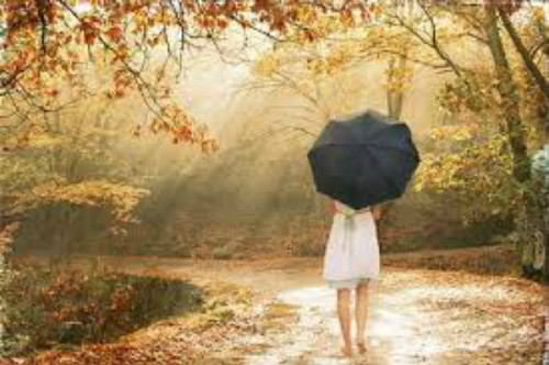 Ảnh minh họa: Internet