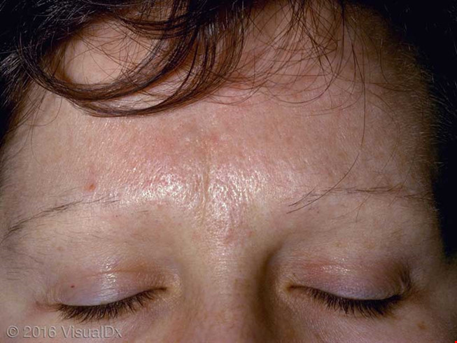 Ảnh minh hoạ: Internet