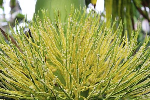 Ảnh minh hoạ: Internet