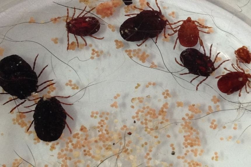 Ảnh minh hoạ: Internet