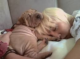 Ảnh minh họa: Internet