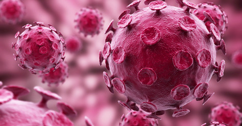 Ảnh minh họa: Internet