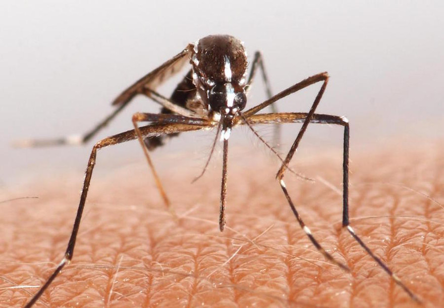 Ảnh minh hoạ: Internet