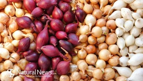 Ảnh minh họa: Internet