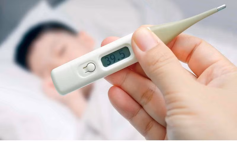 Ảnh minh hoạ: Internet