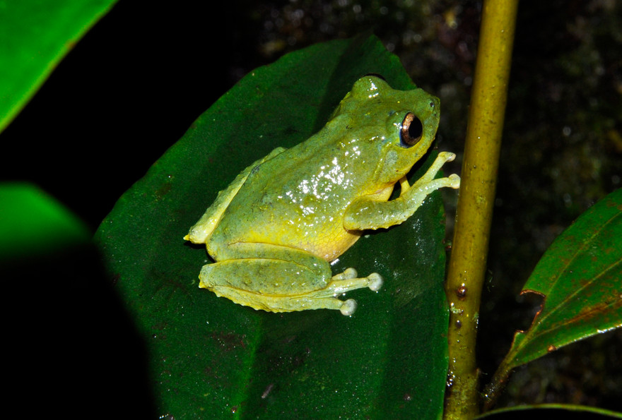 Ảnh minh hoạ: Internet