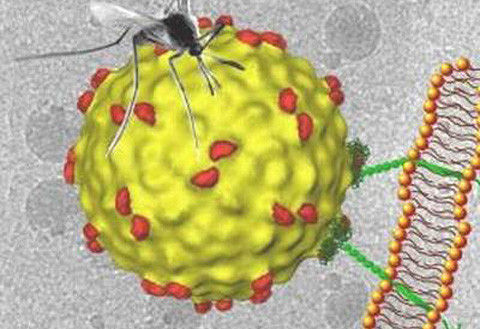 Ảnh minh hoạ: Internet