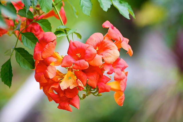 Ảnh minh hoạ: Internet