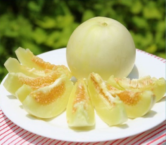 Ảnh minh hoạ: Internet