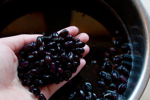 Ảnh minh họa: Internet