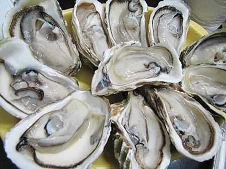 Ảnh minh hoạ: Internet