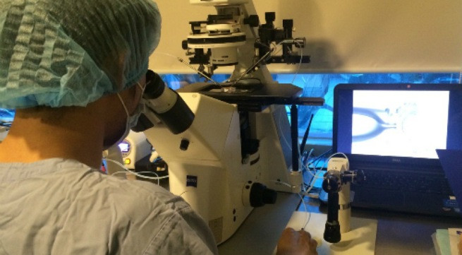 Mang thai hộ bằng hình thức thụ tinh trong ống nghiệm mở ra nhiều cơ hội cho các cặp vợ chồng hiếm muộn. Ảnh: Lê Phương.