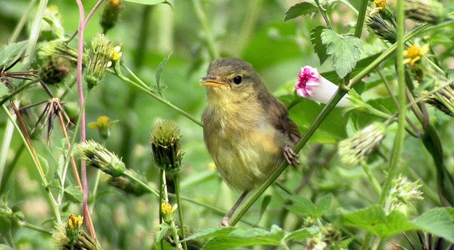 Ảnh minh họa: Internet