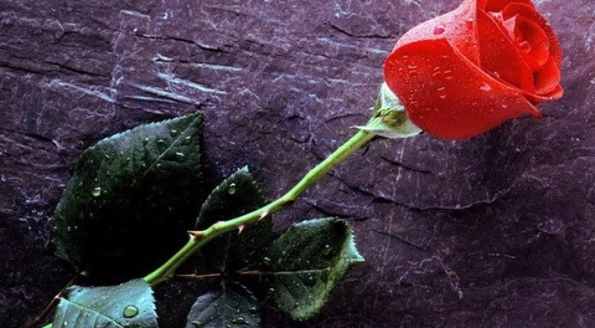 Ảnh minh họa: Internet