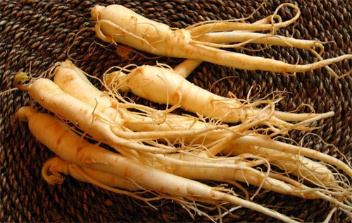 Ảnh minh họa: Internet