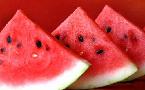 Ảnh minh hoạ: Internet