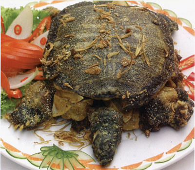 Ảnh minh hoạ: Internet