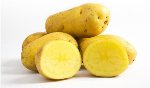 Ảnh minh hoạ: Internet